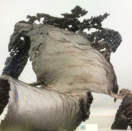 Interrupted 3D scan by artist Paul Coombs